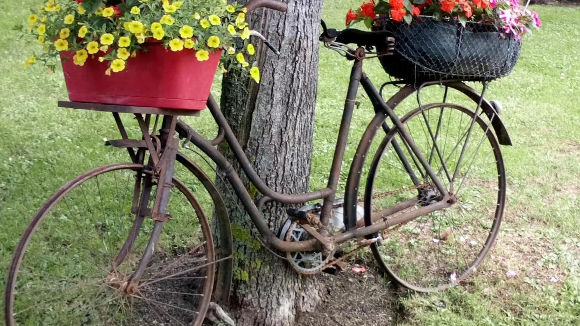 Grange Renovee Avec Jardin Arbore, Ideale Pour Sejours En Famille Ou Entre Amis, A Deneuille-Les-Mines - Fr-1-489-408 0*,